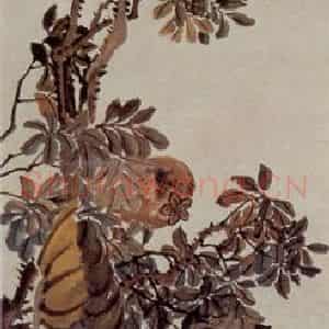 清代 赵之谦《四时果实图》国画花鸟作品图片鉴赏