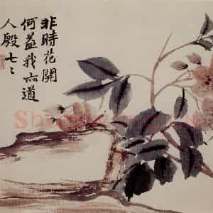 清代 赵之谦《蔬果花卉图册》国画花鸟作品图片鉴赏