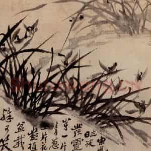 清代 郑燮《兰竹》国画花鸟写意作品图片鉴赏