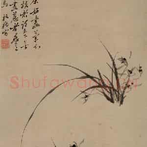 清代 郑燮《兰花》国画花鸟写意作品图片鉴赏