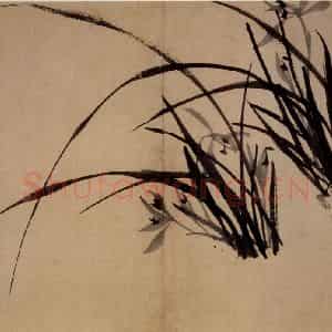 清代 郑燮《兰竹册》国画花鸟写意作品图片鉴赏