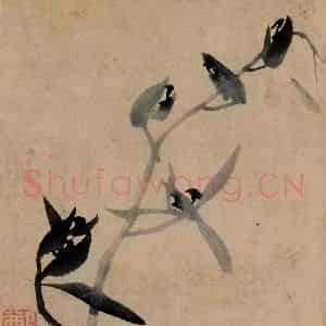 清代 郑燮《兰花册》国画花鸟写意作品图片鉴赏