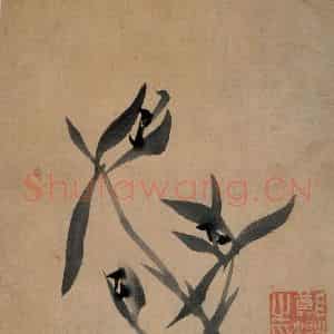 清代 郑燮《兰花册》国画花鸟写意作品图片鉴赏