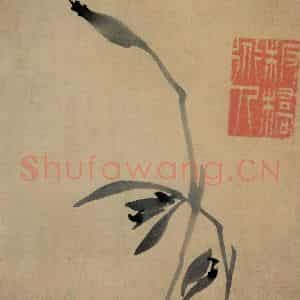 清代 郑燮《兰花册》国画花鸟写意作品图片鉴赏