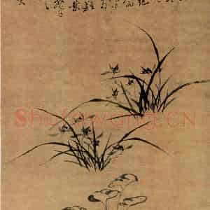清代 郑燮《兰芝》国画花鸟写意作品图片鉴赏
