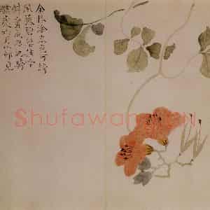 清代 汪士慎《花卉册》国画花鸟写意作品图片鉴赏