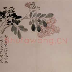 清代 汪士慎《花卉册》国画花鸟写意作品图片鉴赏