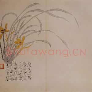 清代 汪士慎《花卉册》国画花鸟写意作品图片鉴赏