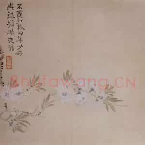 清代 汪士慎《花卉册》国画花鸟写意作品图片鉴赏