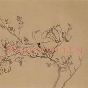 清代 汪士慎《花卉册》国画花鸟写意作品图片鉴赏