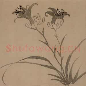 清代 汪士慎《花卉册》国画花鸟写意作品图片鉴赏