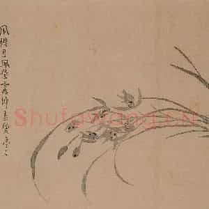清代 汪士慎《花卉册》国画花鸟写意作品图片鉴赏
