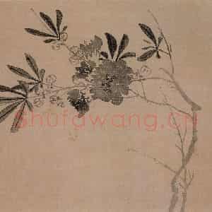 清代 汪士慎《花卉册》国画花鸟写意作品图片鉴赏