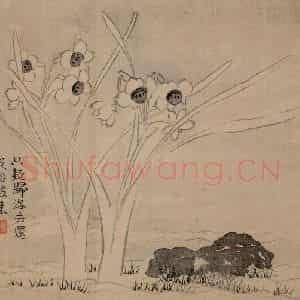 清代 汪士慎《花卉册》国画花鸟写意作品图片鉴赏