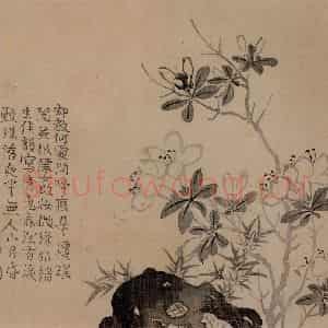清代 汪士慎《花卉册》国画花鸟写意作品图片鉴赏