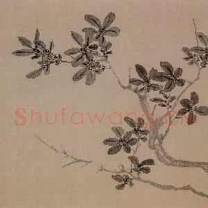 清代 汪士慎《花卉册》国画花鸟写意作品图片鉴赏