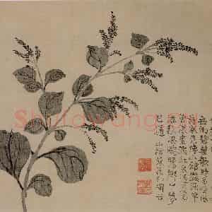 清代 汪士慎《花卉册》国画花鸟写意作品图片鉴赏