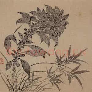 清代 汪士慎《花卉册》国画花鸟写意作品图片鉴赏