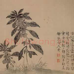 清代 汪士慎《花卉册》国画花鸟写意作品图片鉴赏