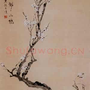 清代 汪士慎《白梅图》国画花鸟写意作品图片鉴赏