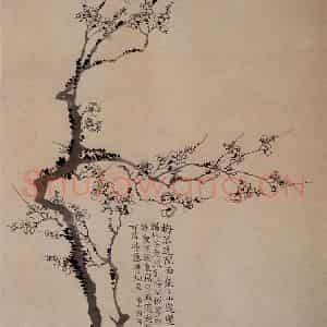 清代 汪士慎《墨梅图》国画花鸟写意作品图片鉴赏