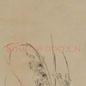 1731年 汪士慎《兰石图》国画花鸟写意作品图片鉴赏