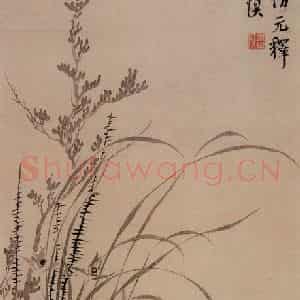 1735年 汪士慎《兰花图》国画花鸟写意作品图片鉴赏