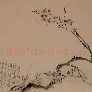 1742年 汪士慎《梅花册》国画花鸟写意作品图片鉴赏