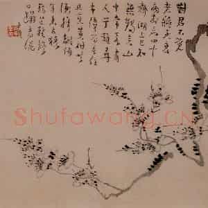 1742年 汪士慎《梅花册》国画花鸟写意作品图片鉴赏