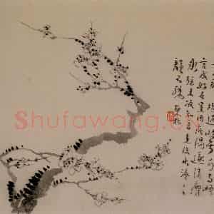 1742年 汪士慎《梅花册》国画花鸟写意作品图片鉴赏