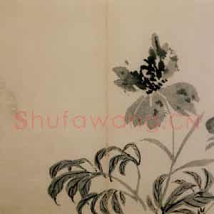 1742年 汪士慎《花卉册》国画花鸟写意作品图片鉴赏