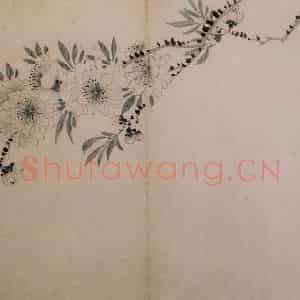 1742年 汪士慎《花卉册》国画花鸟写意作品图片鉴赏