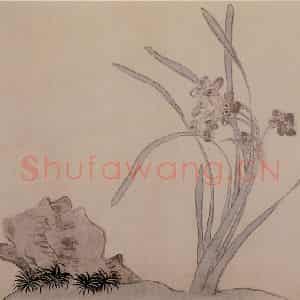 1742年 汪士慎《花卉册》国画花鸟写意作品图片鉴赏