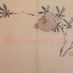 1742年 汪士慎《花卉册》国画花鸟写意作品图片鉴赏
