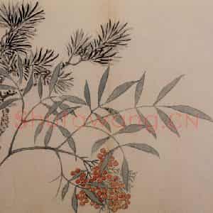 1742年 汪士慎《花卉册》国画花鸟写意作品图片鉴赏