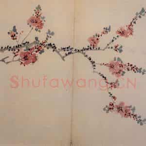 1742年 汪士慎《花卉册》国画花鸟写意作品图片鉴赏