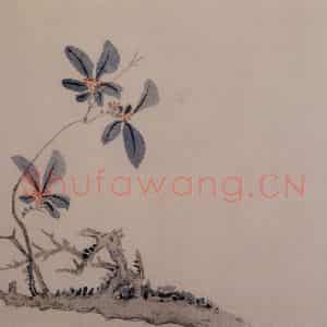 1742年 汪士慎《花卉册》国画花鸟写意作品图片鉴赏