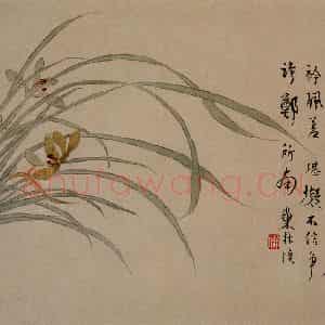 1749年 汪士慎《花卉册》国画花鸟写意作品图片鉴赏