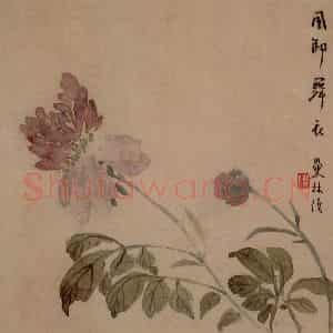 1749年 汪士慎《花卉册》国画花鸟写意作品图片鉴赏