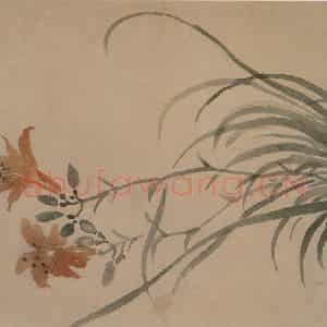 1749年 汪士慎《花卉册》国画花鸟写意作品图片鉴赏