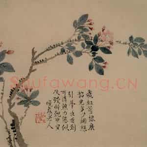 1749年 汪士慎《花卉册》国画花鸟写意作品图片鉴赏
