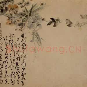 清代 黄慎《花鸟草丛册》国画花鸟写意作品图片鉴赏