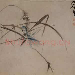 清代 黄慎《花鸟草丛册》国画花鸟写意作品图片鉴赏