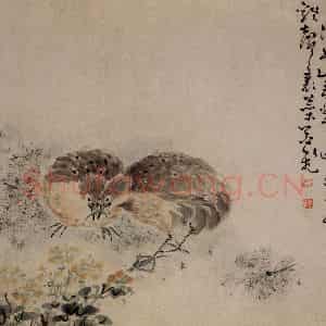 清代 黄慎《花鸟草丛册》国画花鸟写意作品图片鉴赏