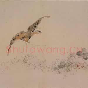 清代 黄慎《杂画册》国画花鸟写意作品图片鉴赏