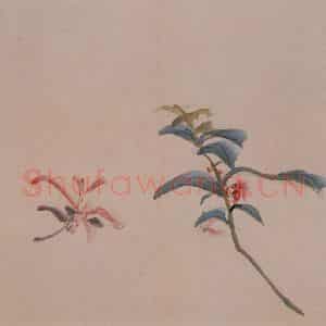 清代 黄慎《杂画册》国画花鸟写意作品图片鉴赏