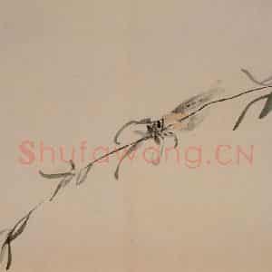 清代 黄慎《杂画册》国画花鸟写意作品图片鉴赏