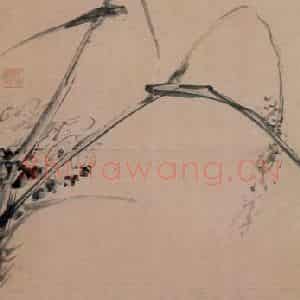 清代 黄慎《芦鸭图》国画花鸟写意作品图片鉴赏