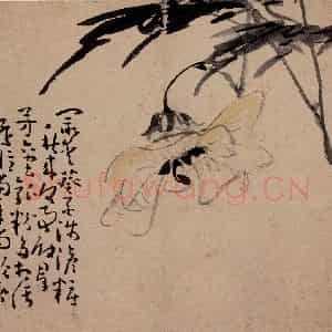 清代 黄慎《诗画册》国画花鸟写意作品图片鉴赏