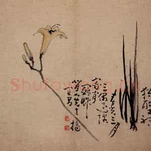 清代 黄慎《诗画册》国画花鸟写意作品图片鉴赏